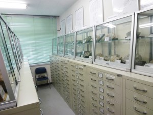 ゴンドワナ資料室