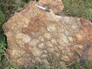 ババブダン層群の基底礫岩（30億年前の不整合）