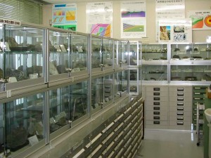 標本室