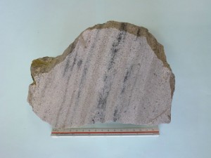 東南極ナピア岩体の花崗岩質片麻岩