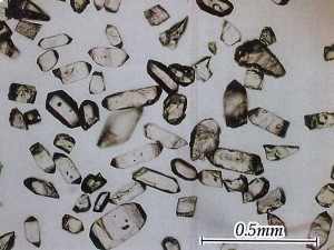 飛騨片麻岩から抽出したジルコン結晶の顕微鏡写真
