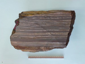 鉄鉱石（２７憶年前のインドの縞状鉄鉱）